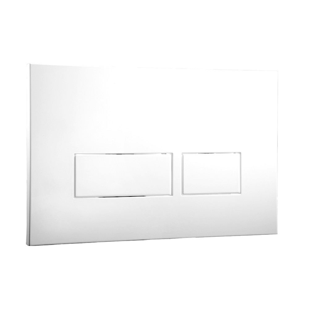 Abacus Trend Flush Plate
