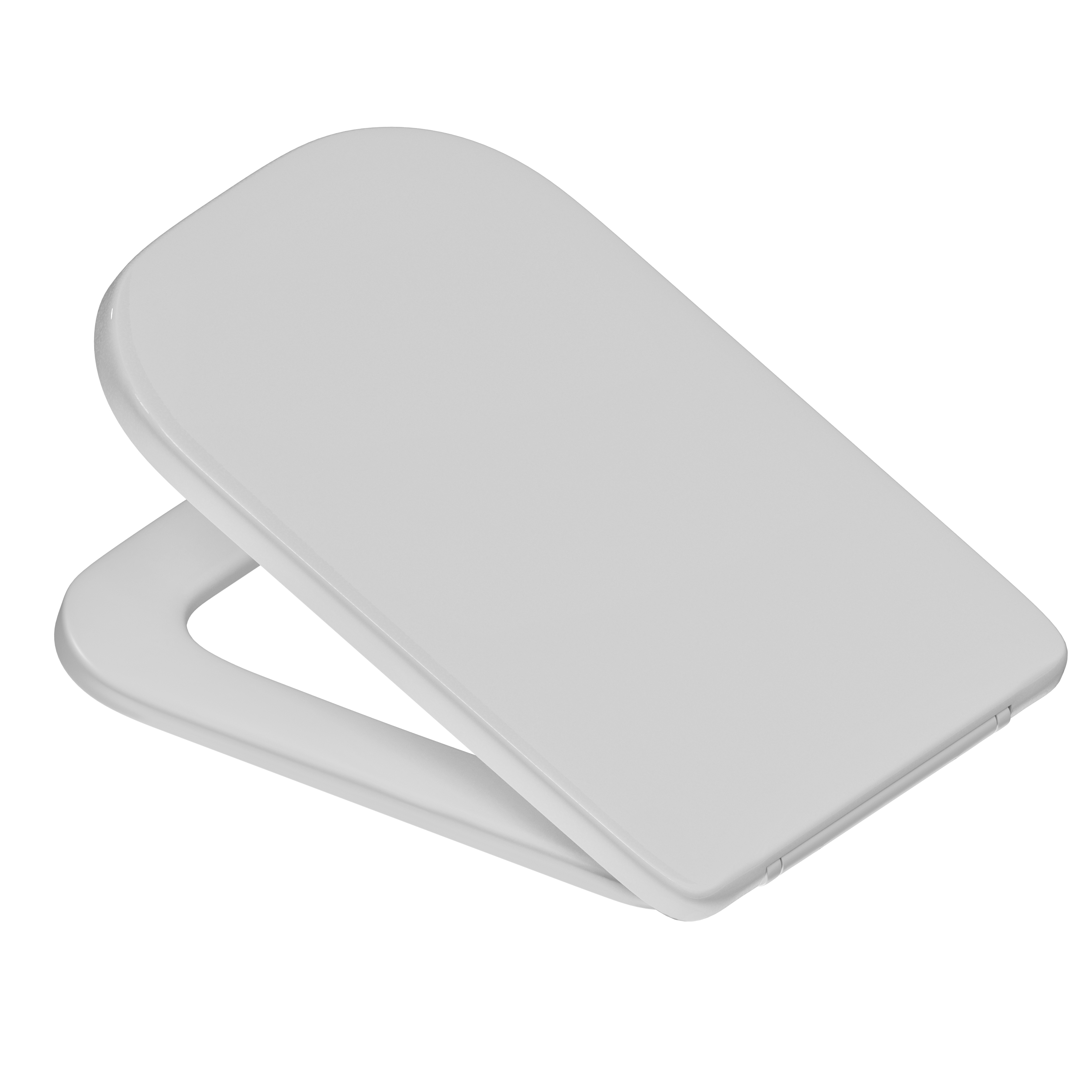 Anderson Rimless Back to Wall Toilet & Soft Close Seat