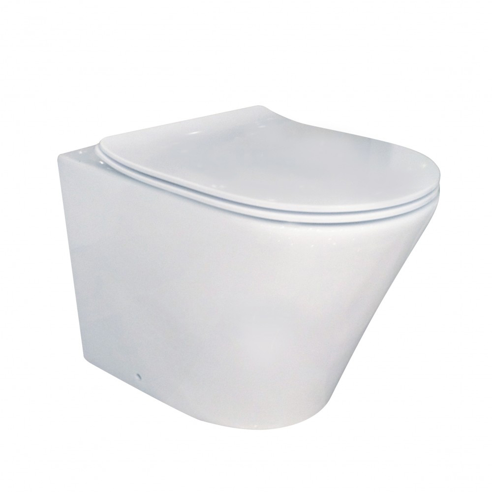 Imex Arco Rimless Wall Hung WC & Duraplast Soft Close Seat